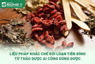 lieu-phap-khac-che-roi-loan-tien-dinh