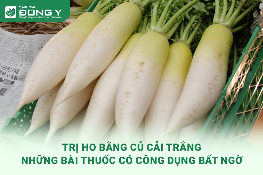 tri-ho-bang-cu-cai-trang