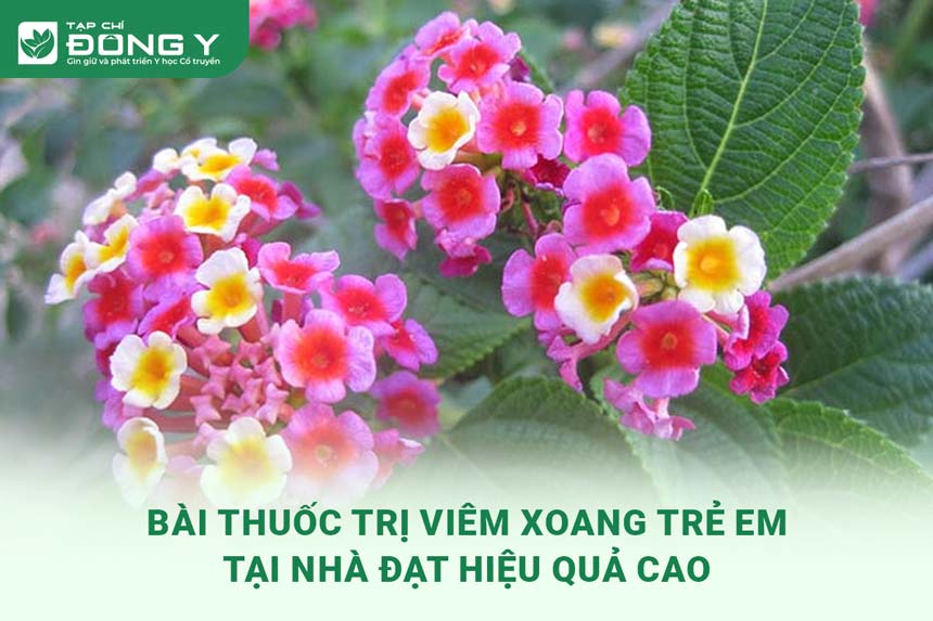 bai-thuoc-tri-viem-xoang-tre-em