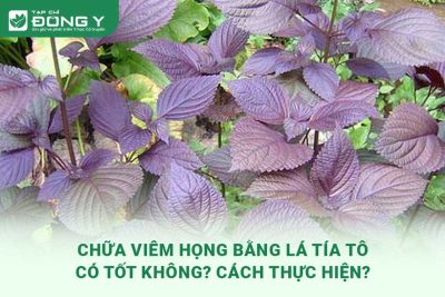 chua-viem-hong-bang-la-tia-to