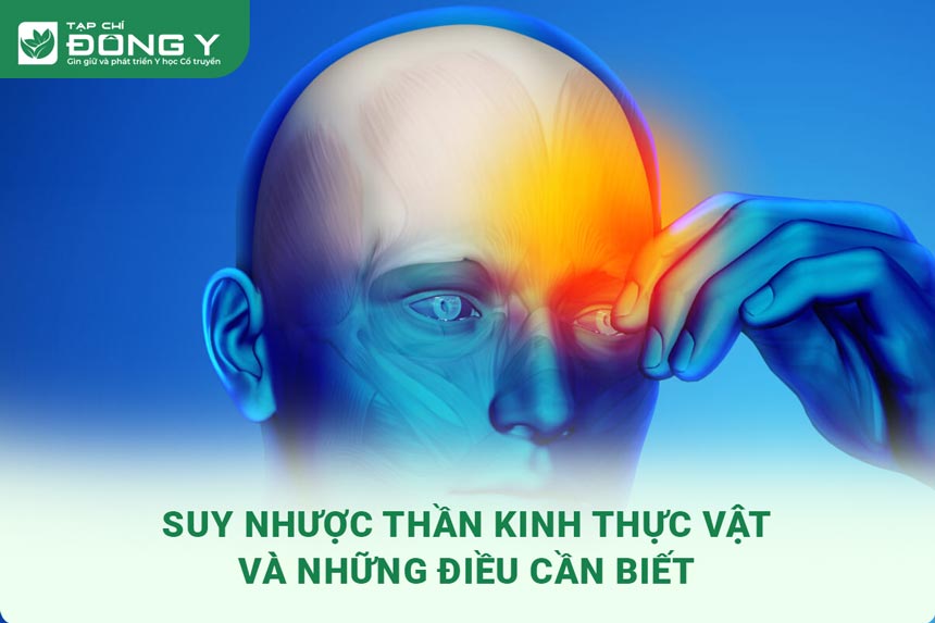 suy-nhuoc-than-kinh-thuc-vat