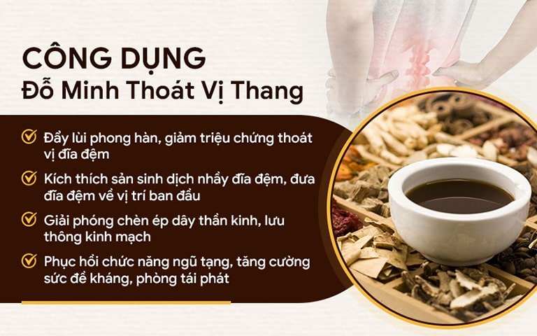 Công dụng thuốc Đỗ Minh Thoát Vị Thang