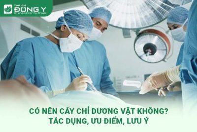 cay-chi-duong-vat