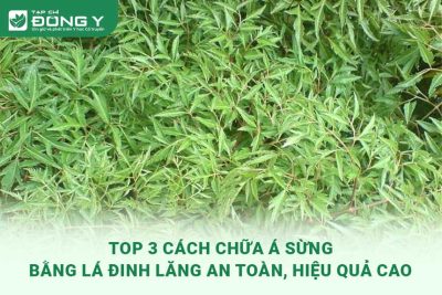 chua-a-sung-bang-la-dinh-lang