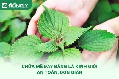 chua-me-day-bang-la-kinh-gioi