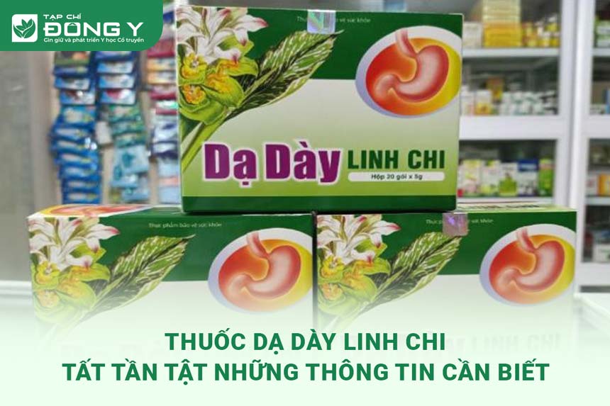 da-day-linh-chi