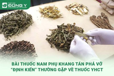 phu-khang-tan-pha-vo-dinh-kien-ve-thuoc-y-hoc-co-truyen