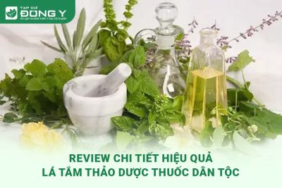 review-hieu-qua-la-tam-thao-duoc-thuoc-dan-toc