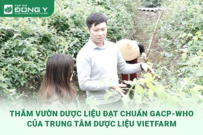 tham-vuon-duoc-lieu-cua-trung-tam-duoc-lieu-vietfarm