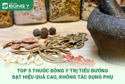 thuoc-dong-y-tri-tieu-duong