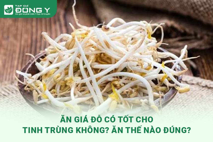 an-gia-do-co-tot-cho-tinh-trung-khong