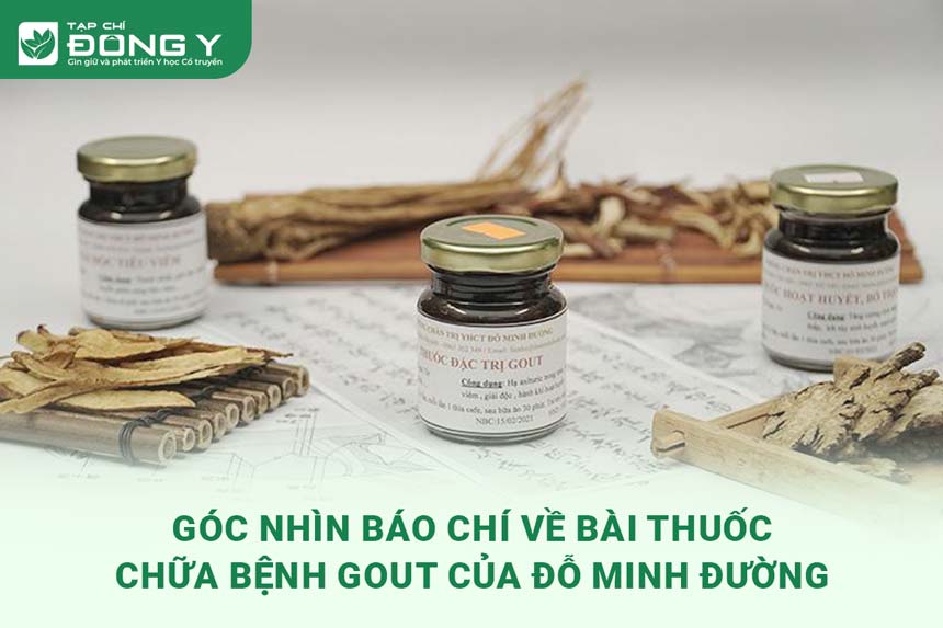 bao-chi-noi-gi-ve-bai-thuoc-gout-do-minh-