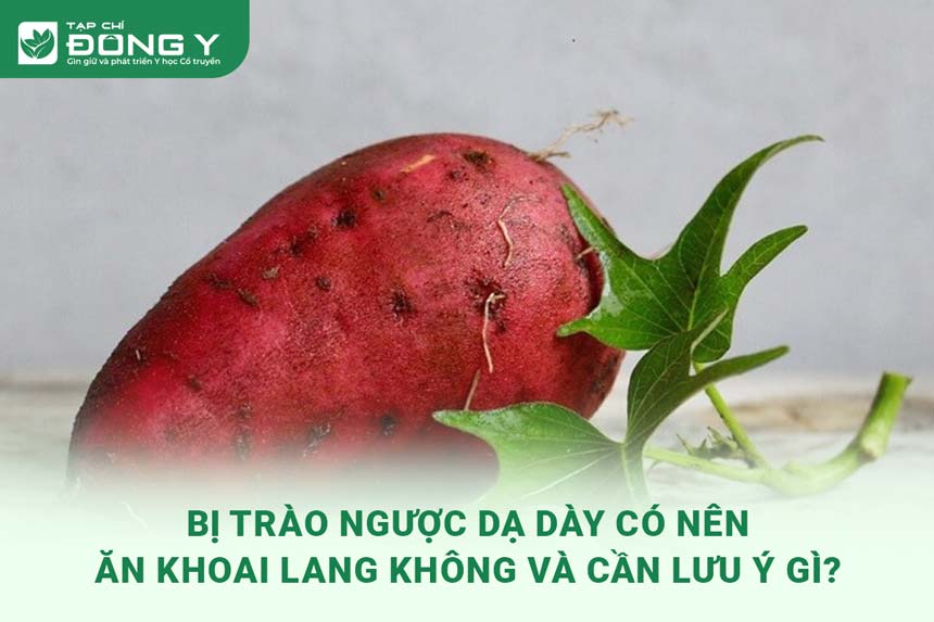 bi-trao-nguoc-da-day-co-nen-an-khoai-lang-khong