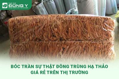 boc-tran-su-that-dong-trung-ha-thao-gia-re