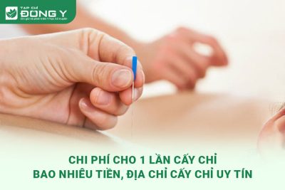 chi-phi-cho-1-lan-cay-chi