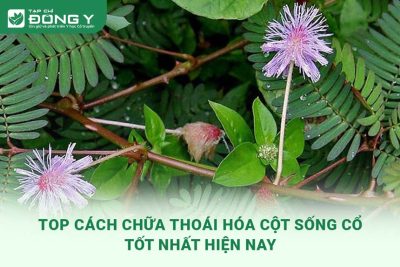 chua-thoai-hoa-cot-song-co