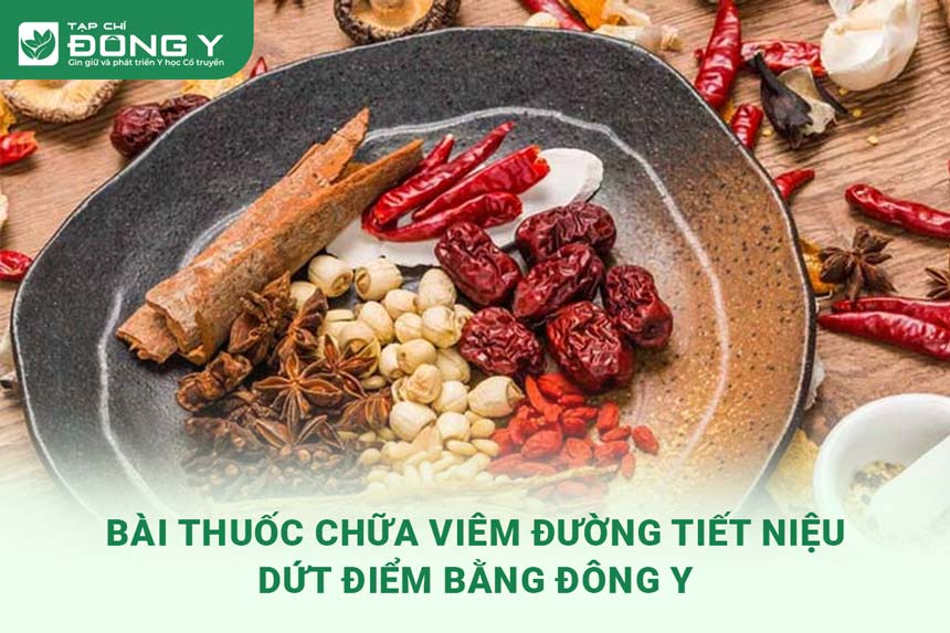 chua-viem-duong-tiet-nieu-bang-dong-y