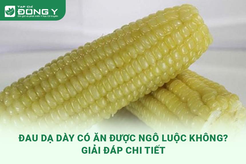 dau-da-day-co-an-duoc-ngo-luoc-khong