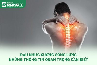 dau-nhuc-xuong-song-lung