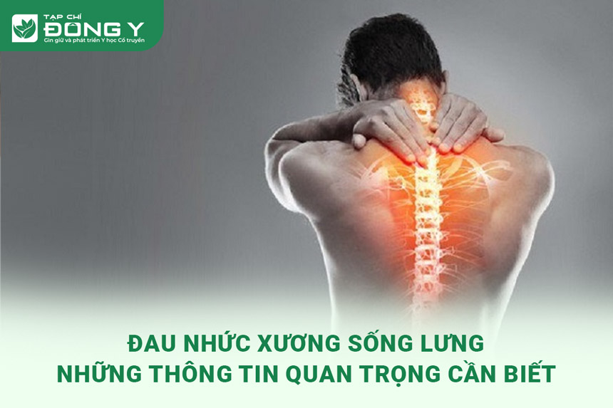 dau-nhuc-xuong-song-lung