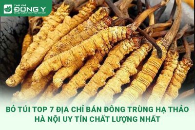 dong-trung-ha-thao-ha-noi