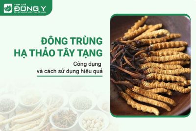 dong-trung-ha-thao-tay-tang