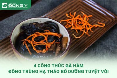 ga-ham-dong-trung-ha-thao