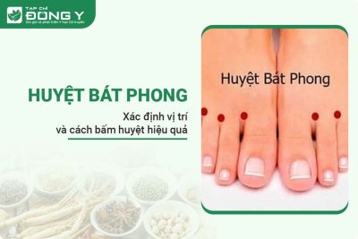 huyet-bat-phong