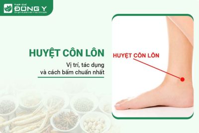 huyet-con-lon