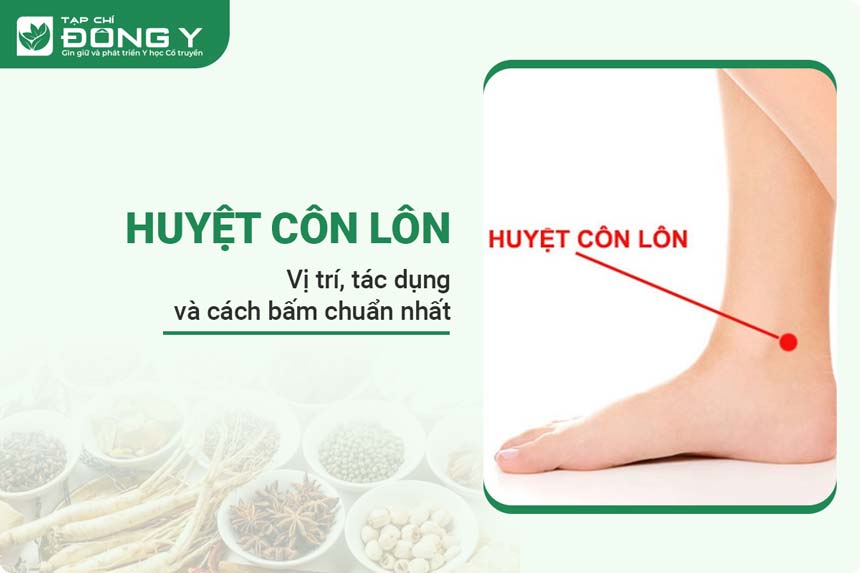 huyet-con-lon