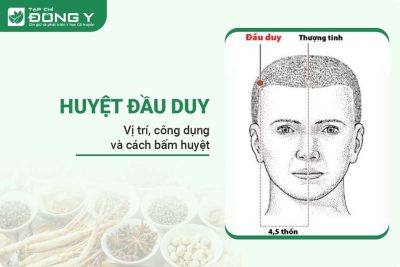 huyet-dau-duy