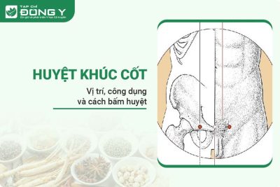 huyet-khuc-cot