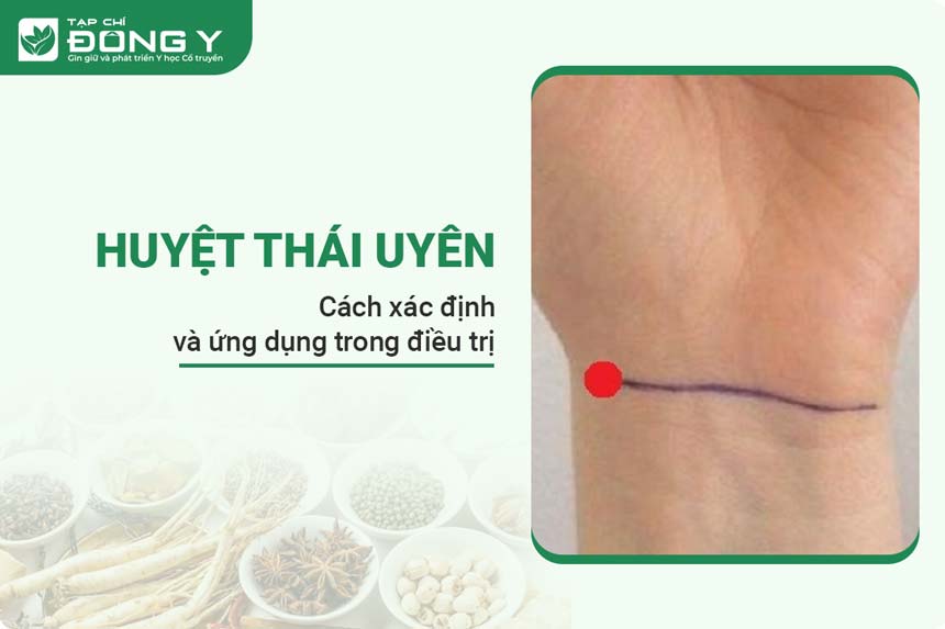 huyet-thai-uyen