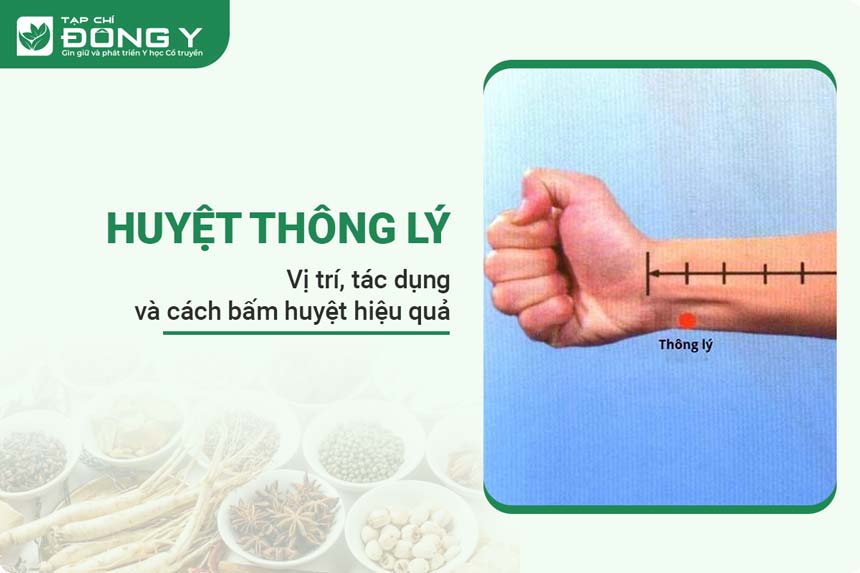 huyet-thong-ly