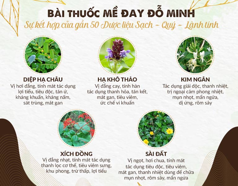 Nguồn thảo dược HỮU CƠ lành - xanh - sạch có mặt trong bài thuốc Mề đay Đỗ Minh