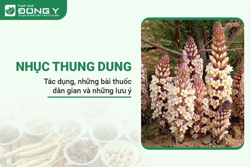 nhuc-thung-dung