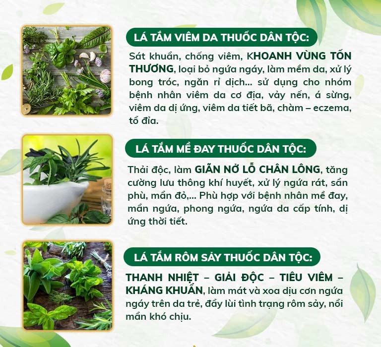 Bộ 3 nhóm thuốc đem lại tác động toàn diện