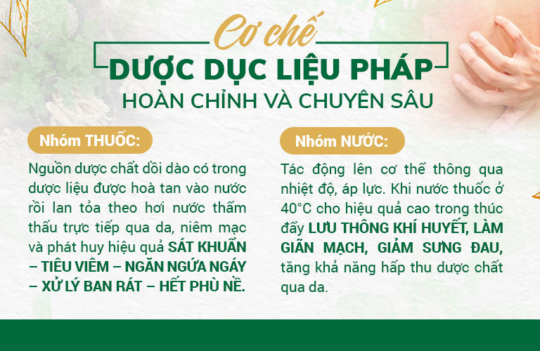 Cơ chế dược dục liệu pháp đem lại hiệu quả chuyên sâu trong xử lý viêm ngứa da