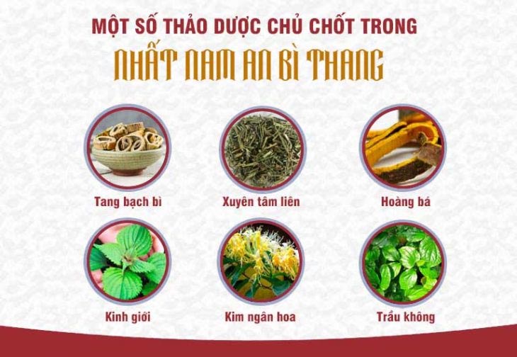 Tiêu chuẩn dược liệu đầu vào bài thuốc Nhất Nam An Bì Thang