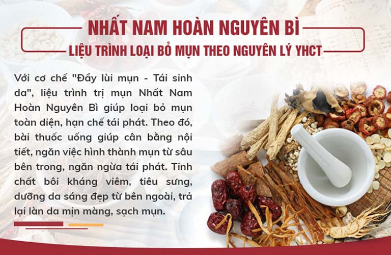 Nhất Nam Hoàn Nguyên Bì hoạt động theo cơ chế kép toàn diện của YHCT