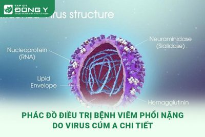 viem-phoi-nang-do-virus-cum-a