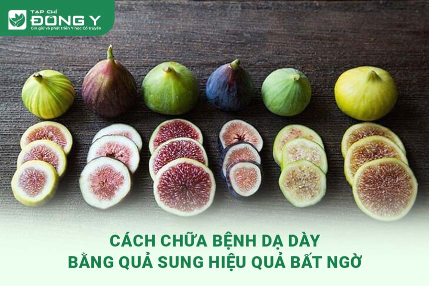 cach-chua-benh-da-day-bang-qua-sung