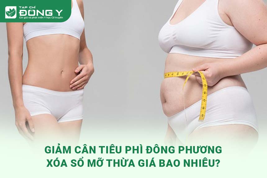 giam-can-tieu-phi-dong-phuong-gia-bao-nhieu