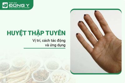 huyet-thap-tuyen