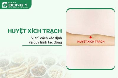 huyet-xich-trach