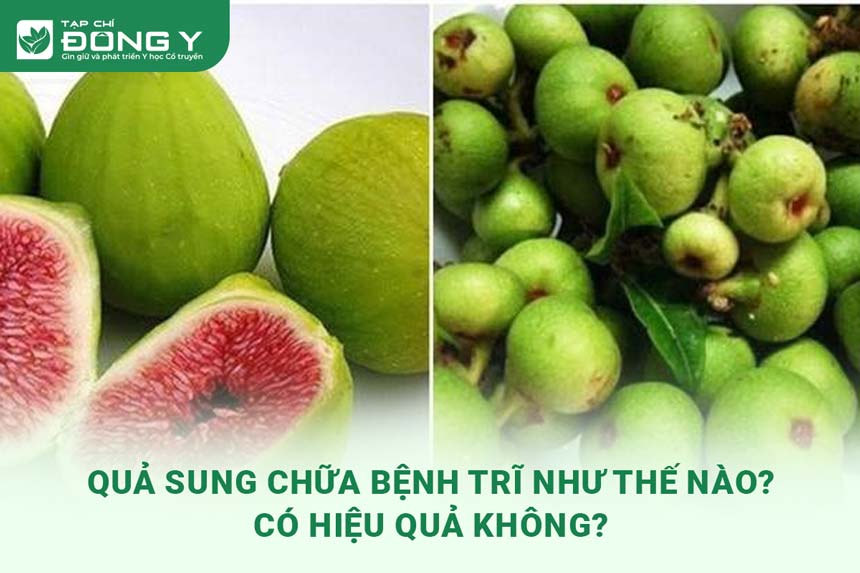 qua-sung-chua-benh-tri