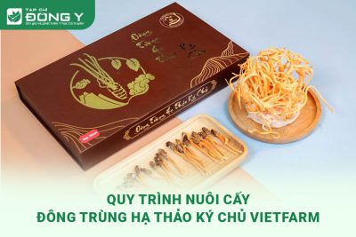 quy-trinh-nuoi-cay-dong-trung-ha-thao-nguyen-con-ky-chu-vietfarm