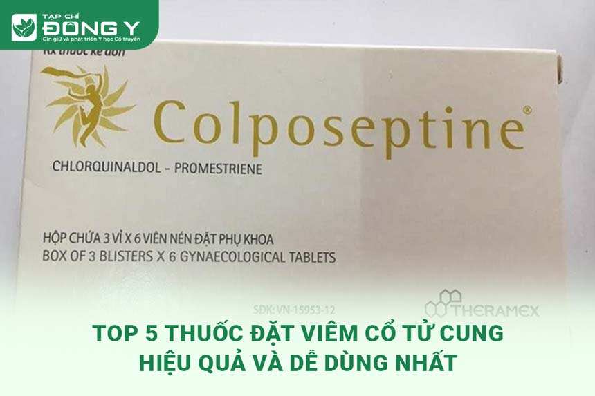 thuoc-dat-viem-co-tu-cung