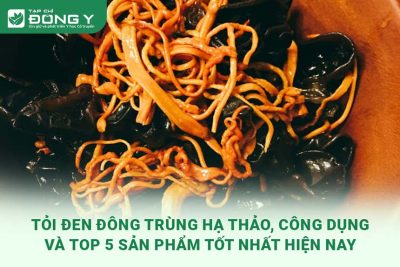 toi-den-dong-trung-ha-thao