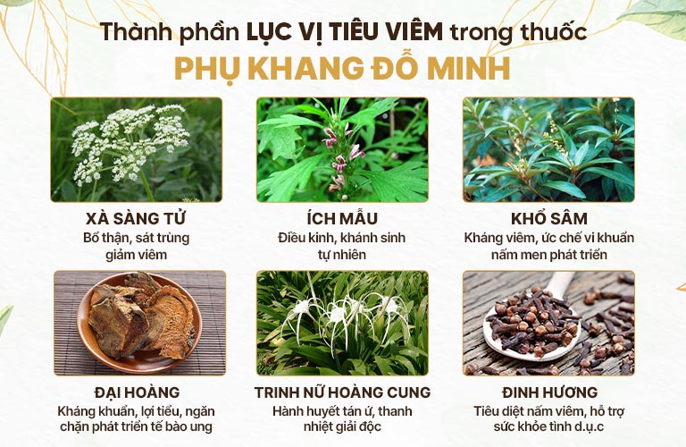 Thành phần bài thuốc Phụ Khang Đỗ Minh